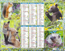 Calendrier du Facteur 2026 - Almanach mural Animaux de la Foret
