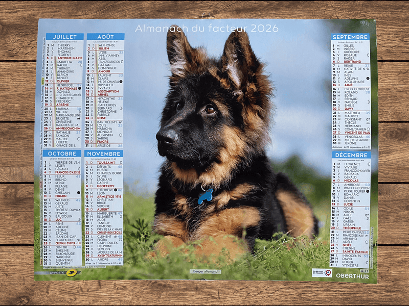 Calendrier Facteur 2026 | Almanach Chiots Bergers