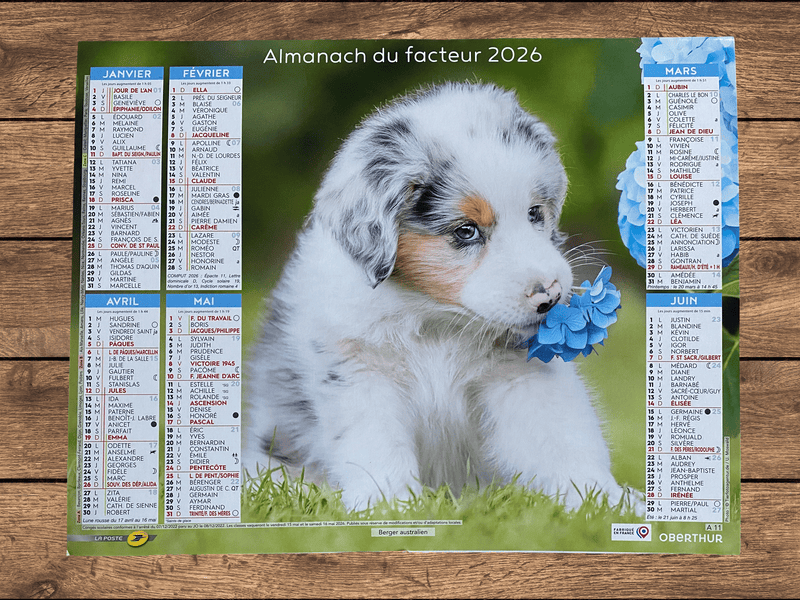 Calendrier Facteur 2026 | Almanach Chiots Bergers