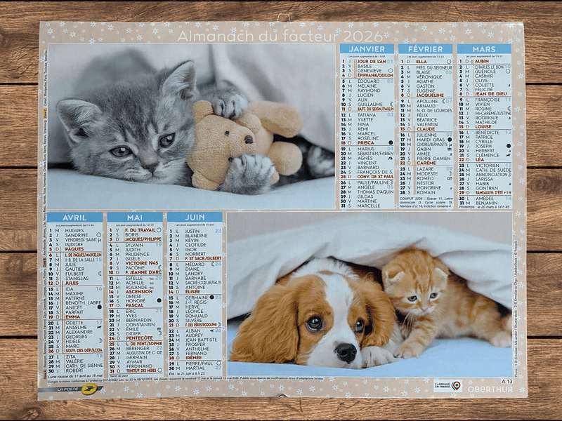 Calendrier Facteur 2026 | Almanach Chiots & Chatons