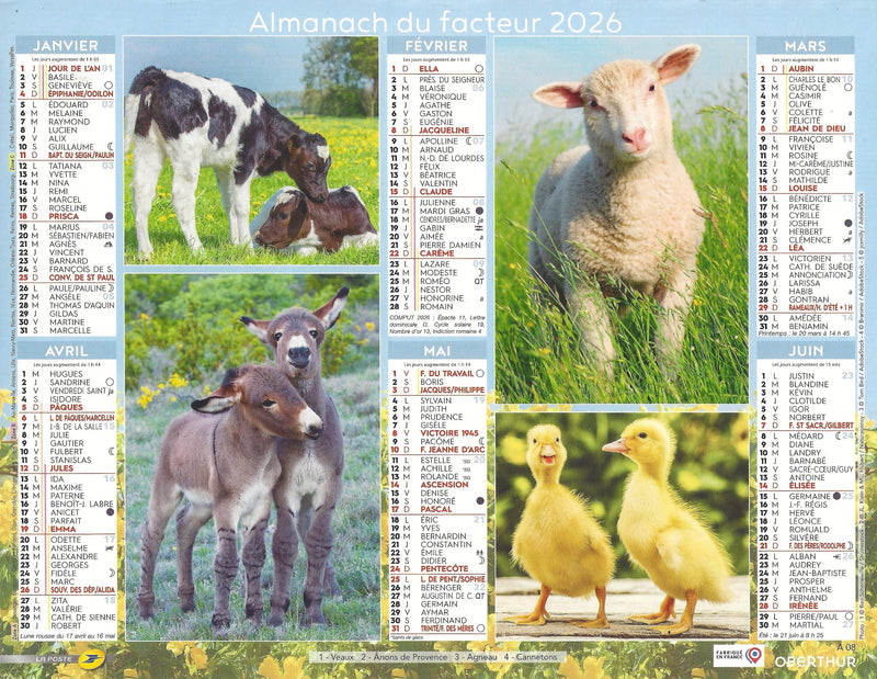 Calendrier du Facteur 2026 | Almanach mural Animaux de la Ferme - veaux, agneaux et canetons édition 2026