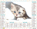 Calendrier du Facteur 2026 | Almanach mural Chatons - chaton gris aux yeux bleus édition 2026