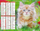 Calendrier du Facteur 2026 | Almanach mural Chatons Sibériens - chaton roux aux yeux bleus édition 2026