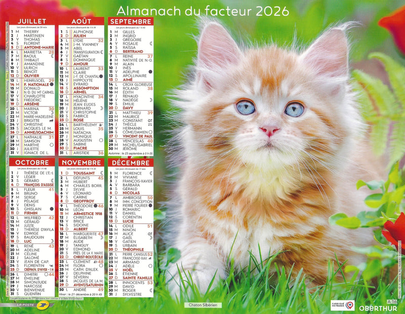 Calendrier du Facteur 2026 | Almanach mural Chatons Sibériens - chaton roux aux yeux bleus édition 2026