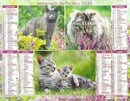 Calendrier du Facteur 2026 | Almanach mural Chats Élégants - Somali, Maine Coon et chat européen bicolore édition 2026