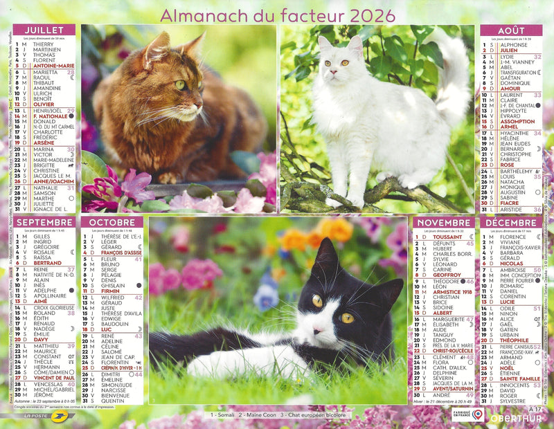 Calendrier du Facteur 2026 | Almanach mural Chats Élégants - chats gris, Sibérien et européens édition 2026