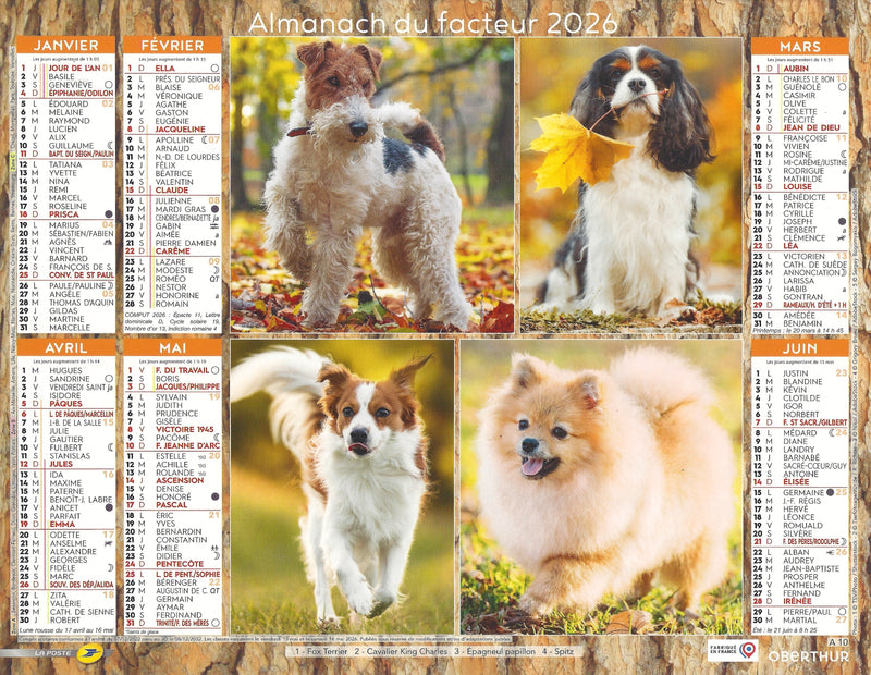 Calendrier du Facteur 2026 | Almanach mural Chiens Petites Races - Corgi, Beagle, Bouledogue et Westie édition 2026
