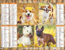 Calendrier du Facteur 2026 | Almanach mural Chiens Petites Races - Fox Terrier, Cavalier King Charles, Épagneul Papillon et Spitz édition 2026