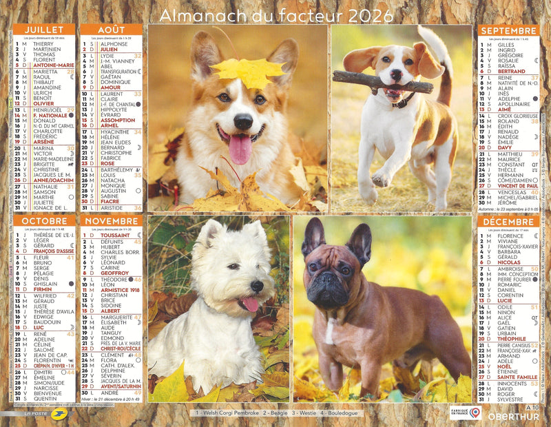Calendrier du Facteur 2026 | Almanach mural Chiens Petites Races - Fox Terrier, Cavalier King Charles, Épagneul Papillon et Spitz édition 2026