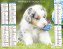 Calendrier du Facteur 2026 | Almanach mural Chiots - chiot Berger Australien avec fleur édition 2026