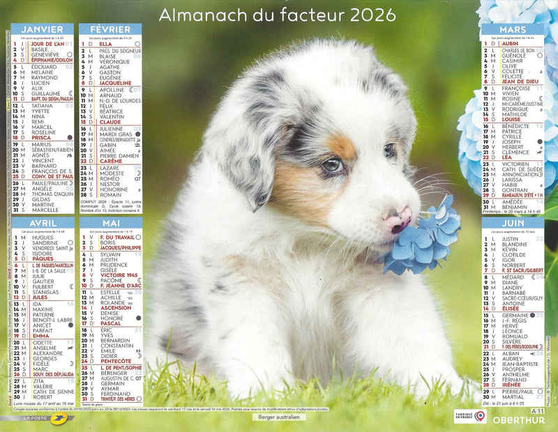 Calendrier du Facteur 2026 | Almanach mural Chiots - chiot Berger Australien avec fleur édition 2026