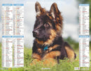 Calendrier du Facteur 2026 | Almanach mural Chiots - chiot Berger Allemand édition 2026