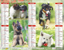 Calendrier du Facteur 2026 | Almanach mural Chiots Variétés - Malamute, Cocker, Teckel et Sheltie édition 2026