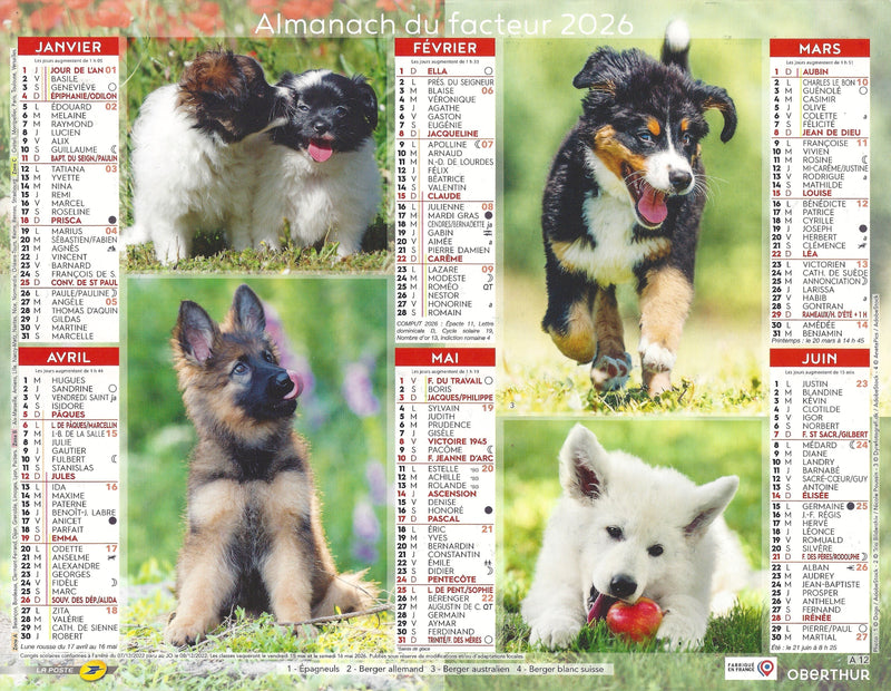Calendrier du Facteur 2026 | Almanach mural Chiots Variétés - Malamute, Cocker, Teckel et Sheltie édition 2026