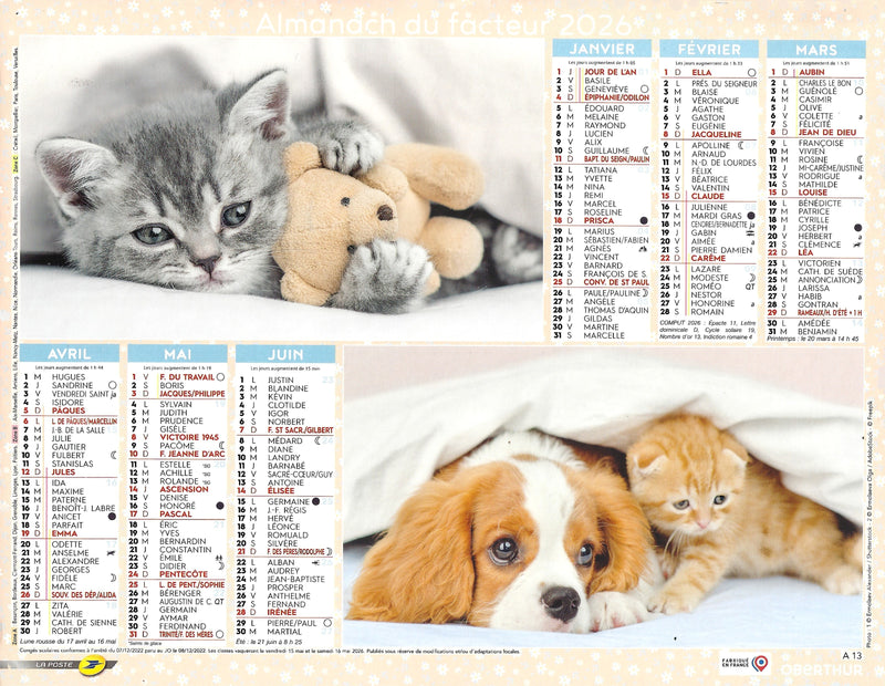 Calendrier du Facteur 2026 | Almanach mural Chiots & Chatons - chiot et chaton ensemble édition 2026