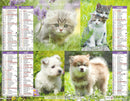 Calendrier du Facteur 2026 | Almanach mural Chiots & Chatons Premium - British Shorthair, Berger Allemand et Cavaliers King Charles édition 2026