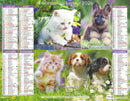 Calendrier du Facteur 2026 | Almanach mural Chiots & Chatons Premium - chatons Sibériens et chiots Finnois de Laponie édition 2026