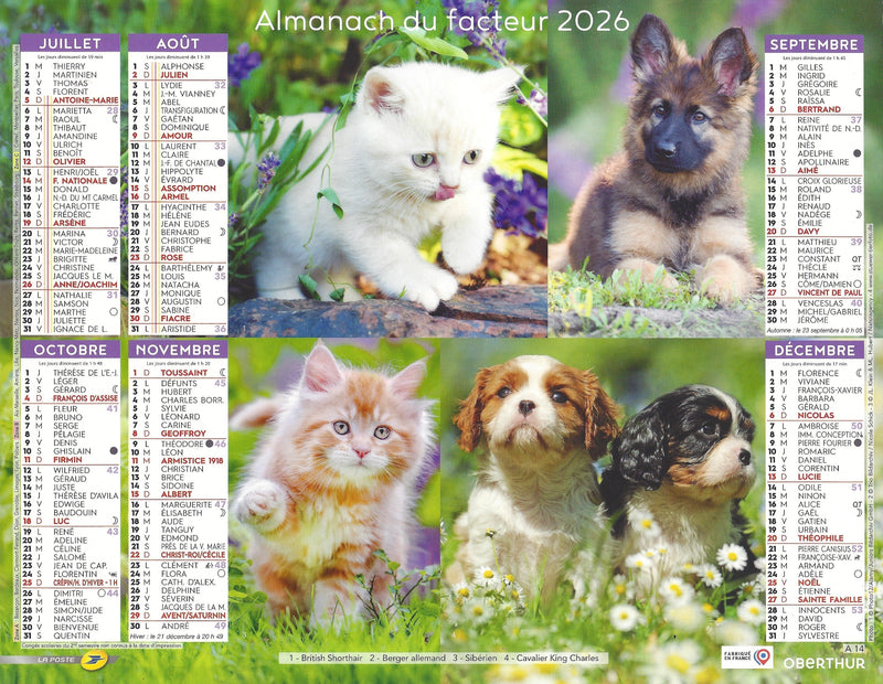 Calendrier du Facteur 2026 | Almanach mural Chiots & Chatons Premium - chatons Sibériens et chiots Finnois de Laponie édition 2026
