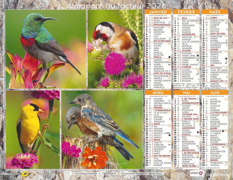 Calendrier du Facteur 2026 | Almanach mural Oiseaux du Jardin - oiseaux colorés et nature 2026
