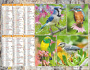 Calendrier du Facteur 2026 | Almanach mural Oiseaux du Jardin - verso édition nature et faune 2026